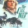 Top 10 🌟 The Call Of The Wild DVD - Michael Shanks, Rutger Hauer ⌛