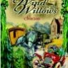 Flash Sale 🧨 Wind In The Willows DVD - John Worseley (Pres/Narr)  ✨