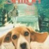 Discount 😍 Shiloh DVD - Scott Wilson, Ann Dowd ✔️