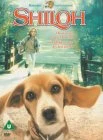 Discount 😍 Shiloh DVD - Scott Wilson, Ann Dowd ✔️