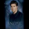 Coupon ✨ Angel - Season 1 DVD - Charisma Carpenter, Elisabeth Röhm  🎁