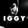 Buy 👍 Iggy Pop - Live At The Avenue B DVD - Iggy Pop  💯