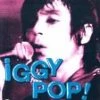Best deal 👍 Iggy Pop - Live San Fran - 1981 DVD - Iggy Pop  🧨