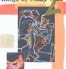 Best reviews of 🤩 Kings Of Muay Thai Boxing - Vol. 2 DVD -   🧨