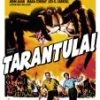 Outlet ❤️ Tarantula DVD - Nestor Paiva, Bert Holland 🎉