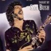 Hot Sale 🌟 Bluegrass Mandolin DVD - Sam Bush  🧨