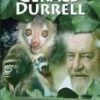 Best deal 🛒 Gerald Durrell DVD - Waladi Brothers  🎁