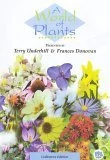 Wholesale 👏 A World Of Plants DVD -   🌟