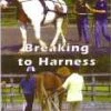 Buy ❤️ The Expert Guide - Breaking to Harness DVD - Clare Wigmore  ✨