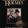 Best reviews of 🔔 Sherlock Holmes - Incident At Victoria Falls DVD - Christopher Lee, Patrick Macnee ✨