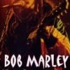Best Pirce ✔️ Bob Marley-I Shot the Sheriff DVD -   😀
