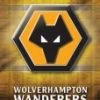 Best deal 😀 Wolverhampton Wanderers Fc - Interactive Quiz DVD -   👍