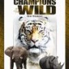 Discount 🔔 Champions of the Wild-Volume 1 DVD -   ❤️