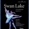 Buy 😀 Tchaikovsky - Swan Lake (Nureyev) Blu Ray - Agnès Letestu, Michael Pasternak ⌛