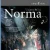 Top 10 👍 Bellini - Norma (Netherlands Co) Blu Ray - Chorus of De Nederlandse Opera , Netherlands Chamber Orchestra 🎁