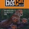 Buy ✨ Big Cat Diary - The Special DVD - none  😀