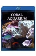 Outlet 👏 Plasma/LCD Art - Coral Aquarium DVD -   🔔