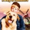 Best deal 👏 A Dog of Flanders DVD - Donald Crisp, David Ladd 🔥