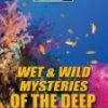 Buy 👍 Wet And Wild Mysteries Of The Deep DVD -   😀