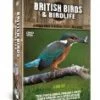 Wholesale 🔥 Best of British Birds 3 Disc Box set DVD -   🧨