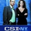 Promo 🧨 CSI: New York - Complete Season 2 DVD - Anna Belknap, Gary Sinise 😀