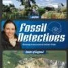 Top 10 🔔 Fossil Detectives - London & South England DVD -   🌟