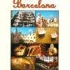 Buy 🔥 Gaudi's Barcelona DVD - Robert Elms  🌟