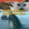 Cheap 🛒 Wildest Artic & Antarctica DVD - Greg Grainger  🌟