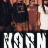 Cheapest ⭐ Korn -Dvd Collectors Box DVD - Korn  🧨
