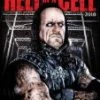 Best Pirce 👍 WWE - Hell In A Cell 2010 DVD - The Undertaker, Kane ⌛