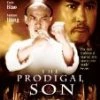 Best deal 🔥 The Prodigal Son DVD - Sammo Hung, Yuen Biao 💯