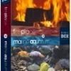 Cheap 🧨 Aquarium + FirePlace - Special Collectors Edition Blu Ray -   ❤️