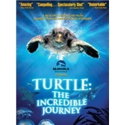 Top 10 ✨ Turtle: The Incredible Journey 3D (3D Blu-Ray + Blu-Ray) Blu Ray - Miranda Richardson (Narrator), Daniel Braga 🌟