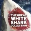Coupon ✔️ Discovery Channel - The Great White Shark Collection DVD -   ✨