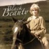 Discount 🎉 Black Beauty DVD - Patrick Mower , Walter Slezak ⭐