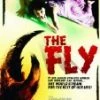 New 💯 The Fly DVD - Vincent Price, David Hedison ✨