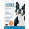Promo 🔔 Dogs: Choosing, Caring & Training DVD -   🎁