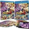 Best reviews of 🔔 Dragon Ball Z: Battle Of Gods Blu Ray - Jason Douglas, Christopher R. Sabat ✔️
