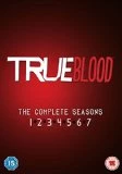Top 10 💯 True Blood - Season 1-7 DVD - Anna Paquin , Alexander Skarsgaard 👏