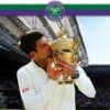 Discount 🔔 Wimbledon: 2014 Men's Final - Novak Djokovic V Roger Federer DVD -   🎁