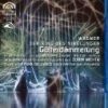 Top 10 🧨 Wagner: Gotterdammerung (Gotterdammerung Staged By La Fura Dels Baus) Blu Ray - Jennifer Wilson, Matti Salminen 🛒