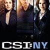 Best deal 😀 CSI: New York Season 4-6 Boxset DVD - Gary Sinise  🤩