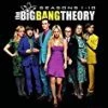 Wholesale 😍 The Big Bang Theory: Seasons 1-10 DVD - Simon Helberg, Melissa Rauch 🤩