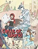 Cheap 🎁 Cells At Work Collection BLU-RAY Blu Ray -   🎁