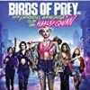 Top 10 ✨ Birds of Prey (and the Fantabulous Emancipation of One Harley Quinn) Blu Ray - Margot Robbie, Mary Elizabeth Winstead ⭐
