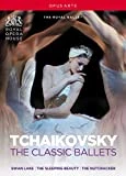 Cheap 👏 Tchaikovsky: Classic Ballets DVD - Artists of the Royal Ballet , Alina Cojocaru ✨