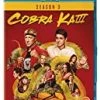 Discount 🛒 Cobra Kai - Seasons 03 Blu Ray - William Zabka, Mary Mouser 🌟